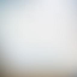Product Gallery Image 0
