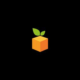 Organization avatar